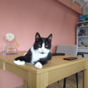 IMG_20230824_125723479 stress