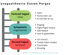polyvagaaltheorie