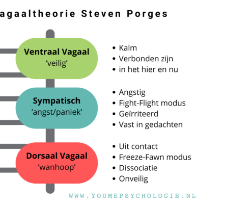 polyvagaaltheorie