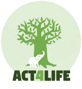 acceptance&commitmenttherapy